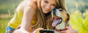 Dental and oral care for pets - what you should know