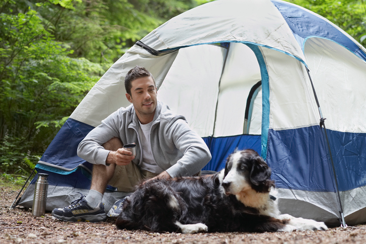 6 Tips on Caring for Your Dog on Summer Camping Trips | Hastings Veterinary Hospital