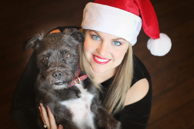 Pets and Gift Giving During the Holiday Season | Hastings Veterinary Hospital