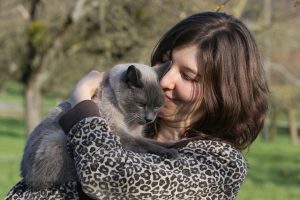 How to Have a Great Summer with Your Cat | Hastings Veterinary Hospital