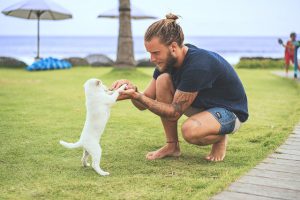 10 Beach Day Tips for You and Your Pup | Hastings Veterinary Hospital