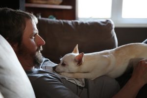 15 Scientific Reasons Why Owning a Dog is Awesome | Hastings Veterinary Hospital