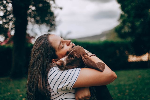 The Healing Power Between Humans and Their Pets | Hastings Veterinary  Hospital