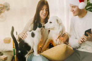 Top 5 List of Gift Ideas for a Pet Lover this Christmas | Hastings Veterinary Hospital