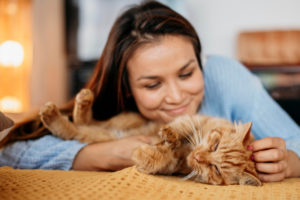 "How Can I Keep My Cat Healthy?" 6 Main Things | Hastings Veterinary Hospital