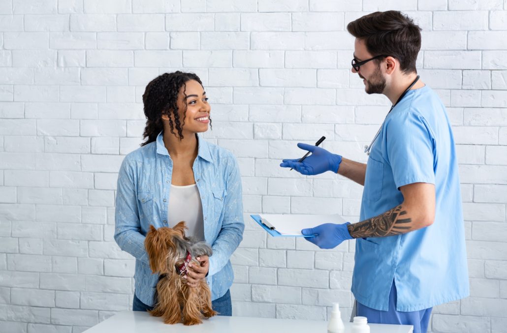 African American woman with pet on visit to veterinary doctor at animal clinic