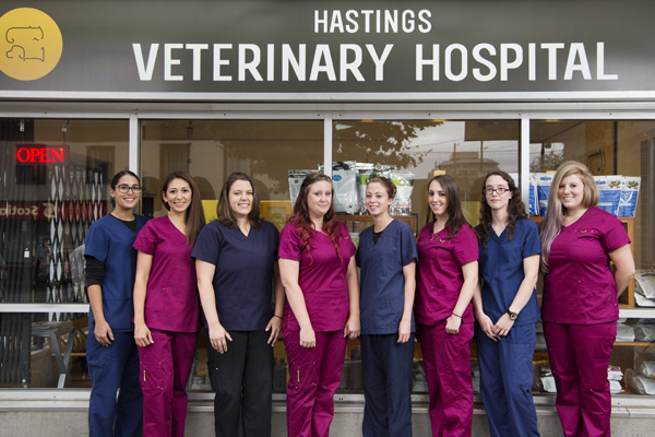 Hastings Vet staff members