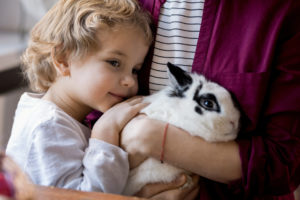 What You Need to Know About Rabbits and Ear Mites | Hastings Veterinary Hospital