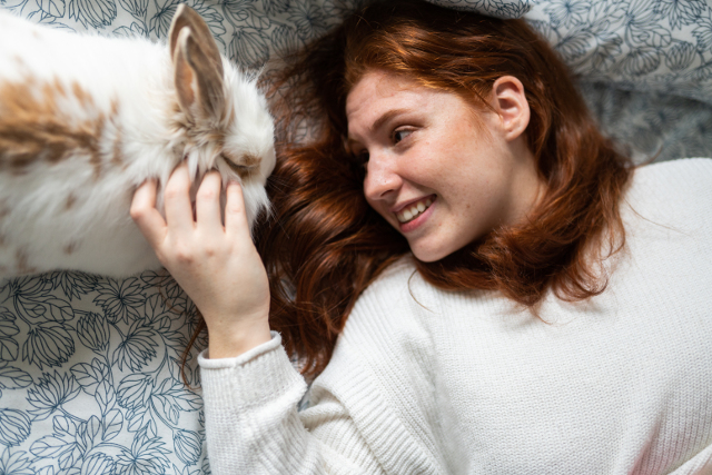 What to Expect When Raising a Rabbit for the First Time | Hastings Veterinary Hospital