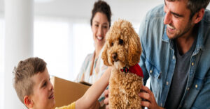 6 Do's and Don'ts When Planning to Adopt a Pet | Hastings Veterinary Hospital