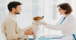 The Top 8 Most Thoughtful Practices at our Vet Clinic | Hastings Veterinary Hospital