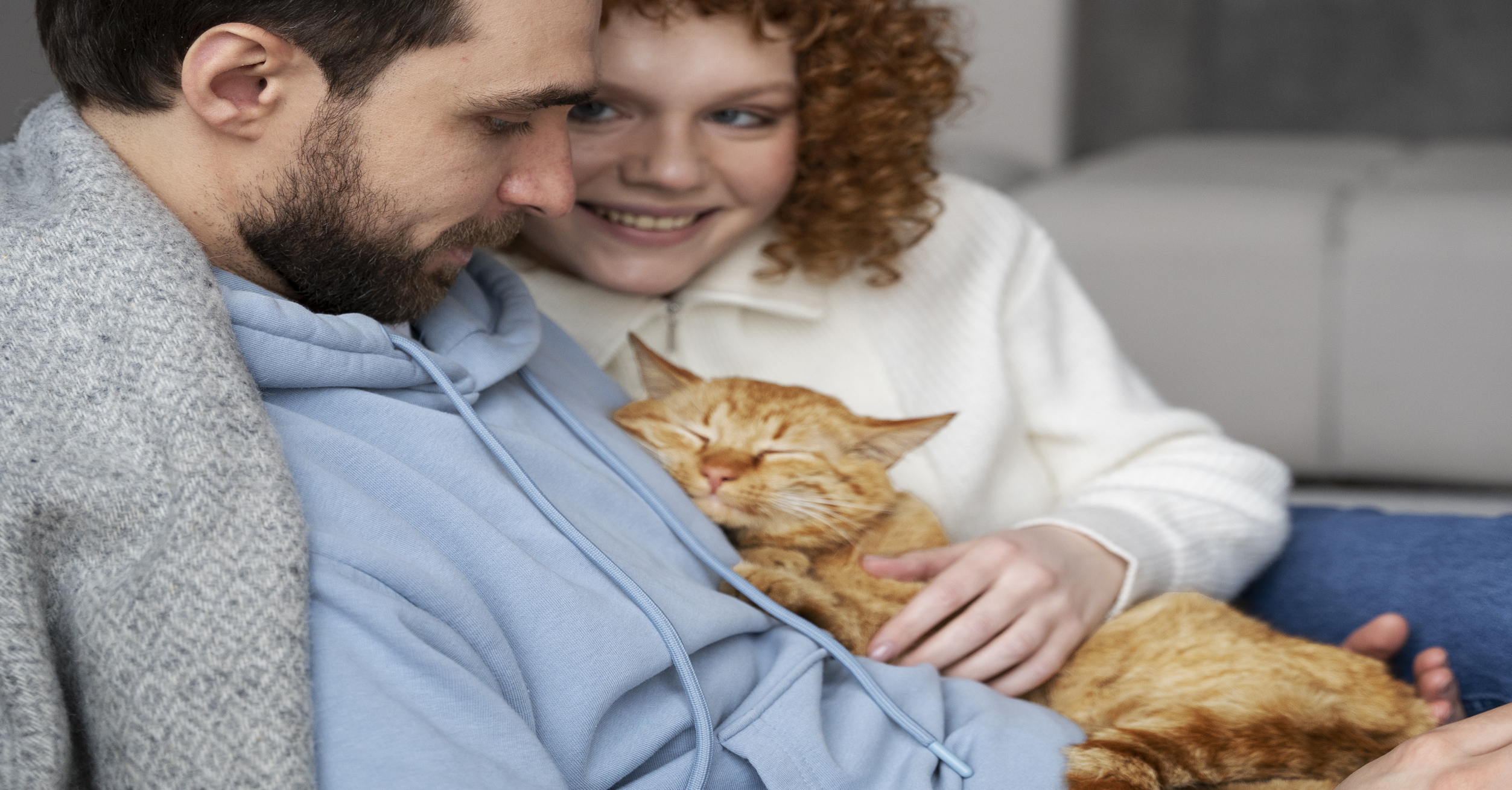 Preventive Pet Care Part 2: What Your Cat Needs Every Month to Stay Healthy | Hastings Veterinary Hospital