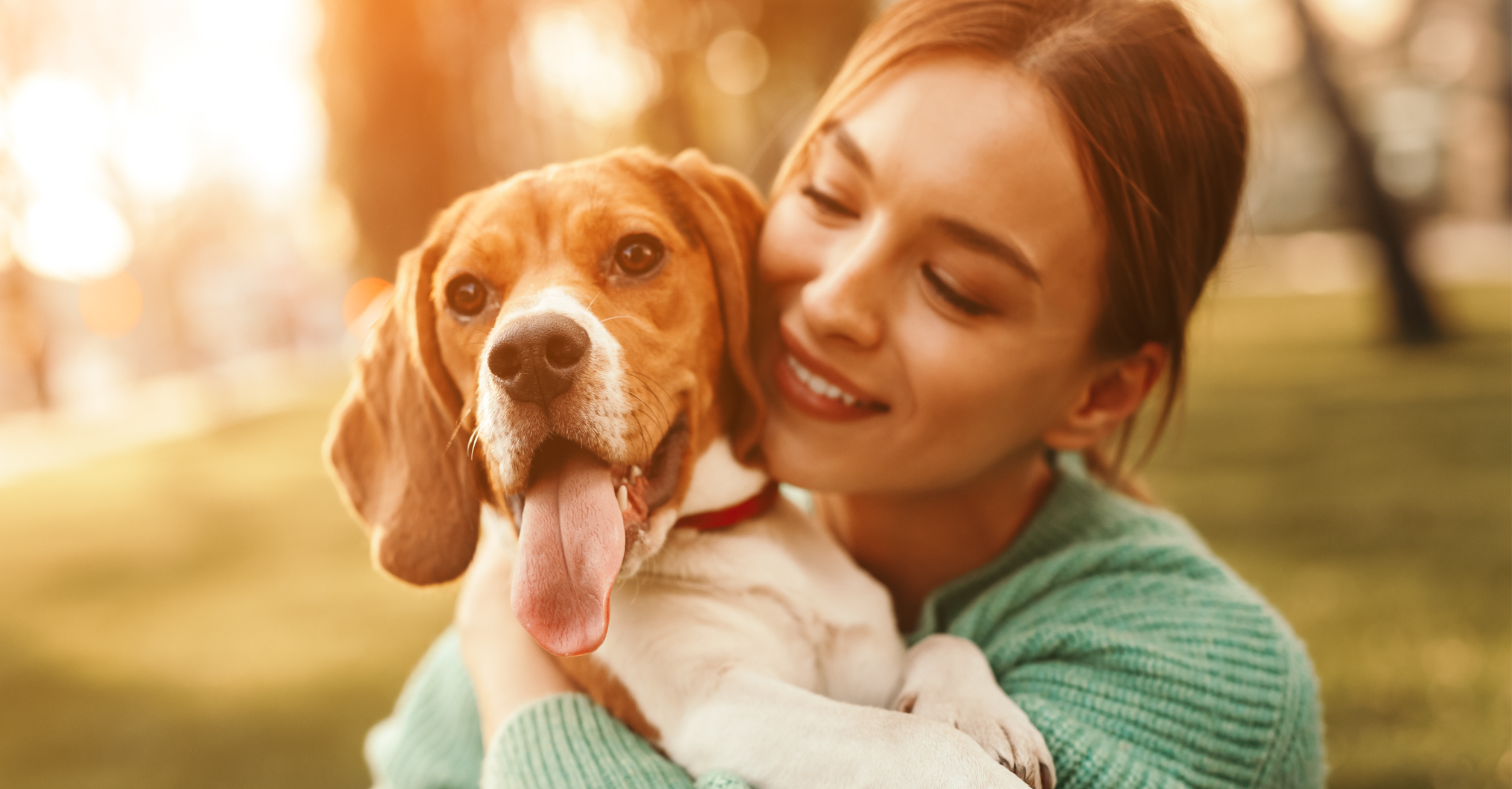 Preventive Pet Care Part 3: What Your Dog Needs Every Month to Stay Healthy | Hastings Veterinary Hospital