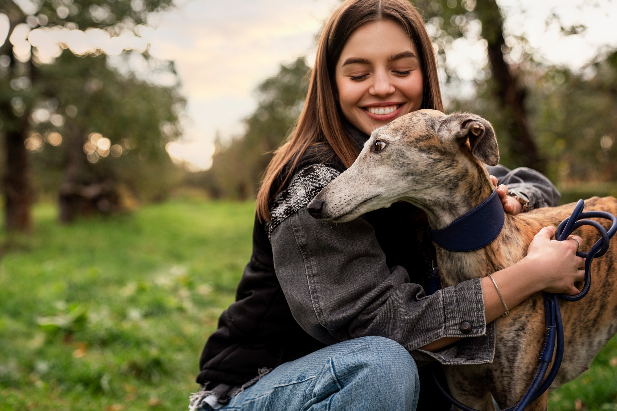 6 Things Your Vet Needs to Look For in Your Senior Dog and Why | Hastings Veterinary Hospital
