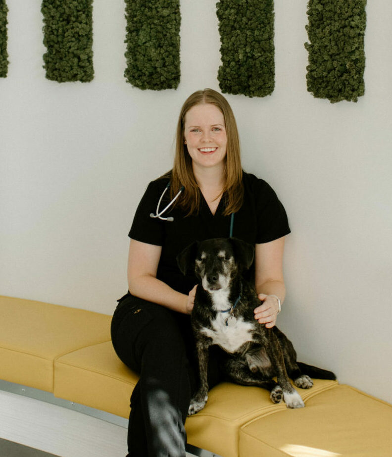 Hastings Veterinary Hospital: Health Care for Dogs, Cats, & Rabbits in  Burnaby BC