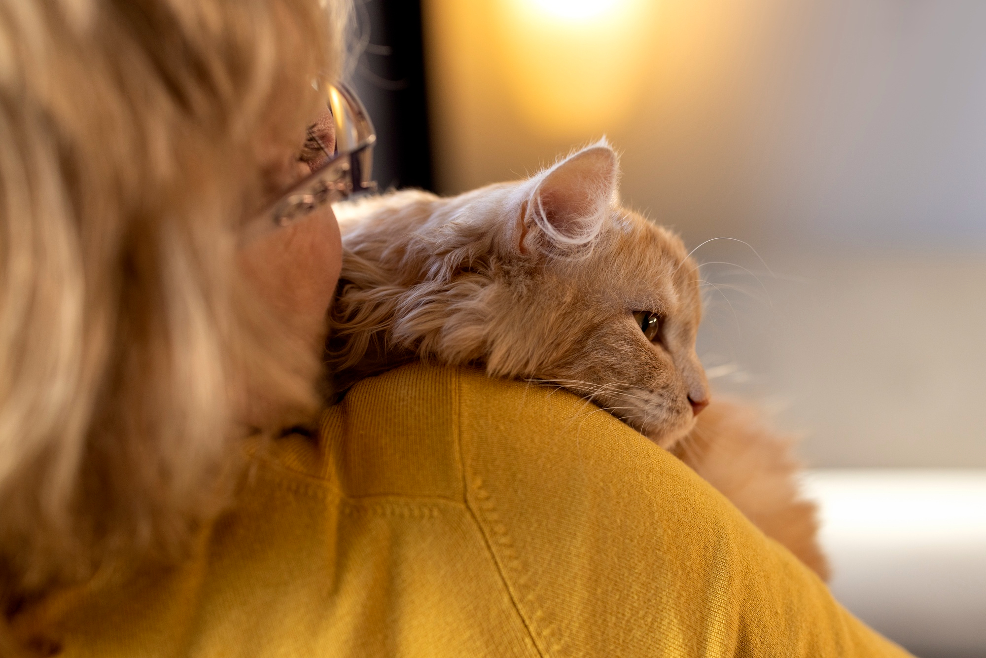 Pain Management in Pets: Why It Matters (And How to Help) | Hastings Veterinary Hospital