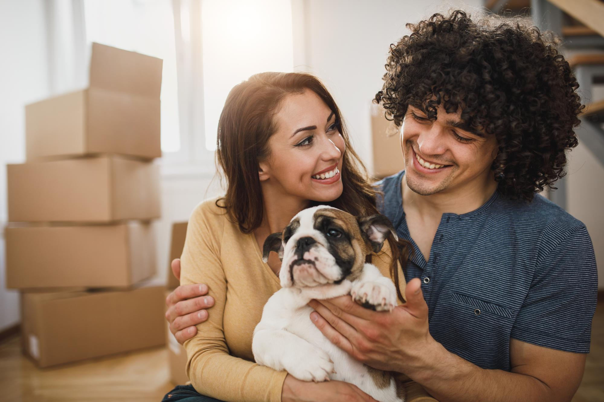 Need to Move? Tips on Ensuring a Safe Journey for Your Dog or Cat | Hastings Veterinary Hospital