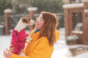 Hastings Veterinary Hospital - 10 Responsible Pet Care Tips for This Year | Hastings Veterinary Hospital