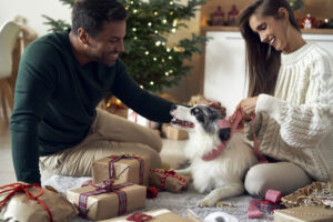 The Ultimate Holiday Care Guide Part 1: For Dog Owners | Hastings Veterinary Hospital