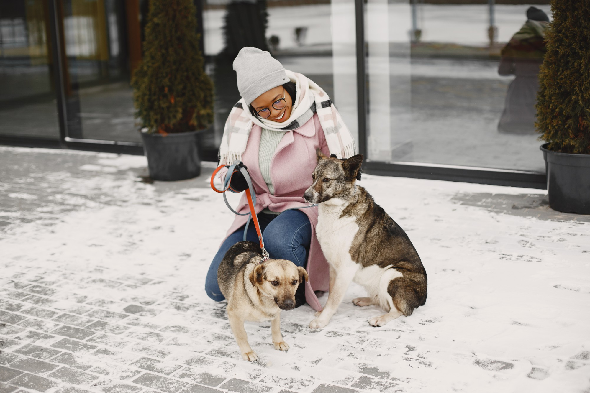 10 Hidden Winter Hazards for Dogs | Hastings Veterinary Hospital