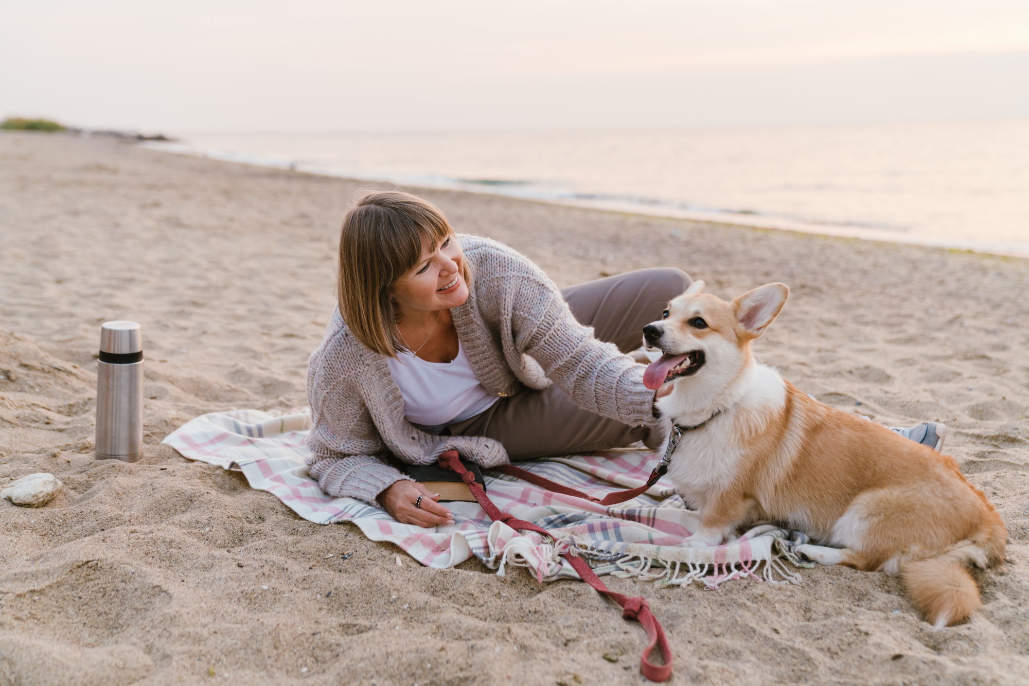 5 Dog-friendly Beaches in Vancouver and Burnaby BC! Plus, a Few General Tips for Owners | Hastings Veterinary Hospital