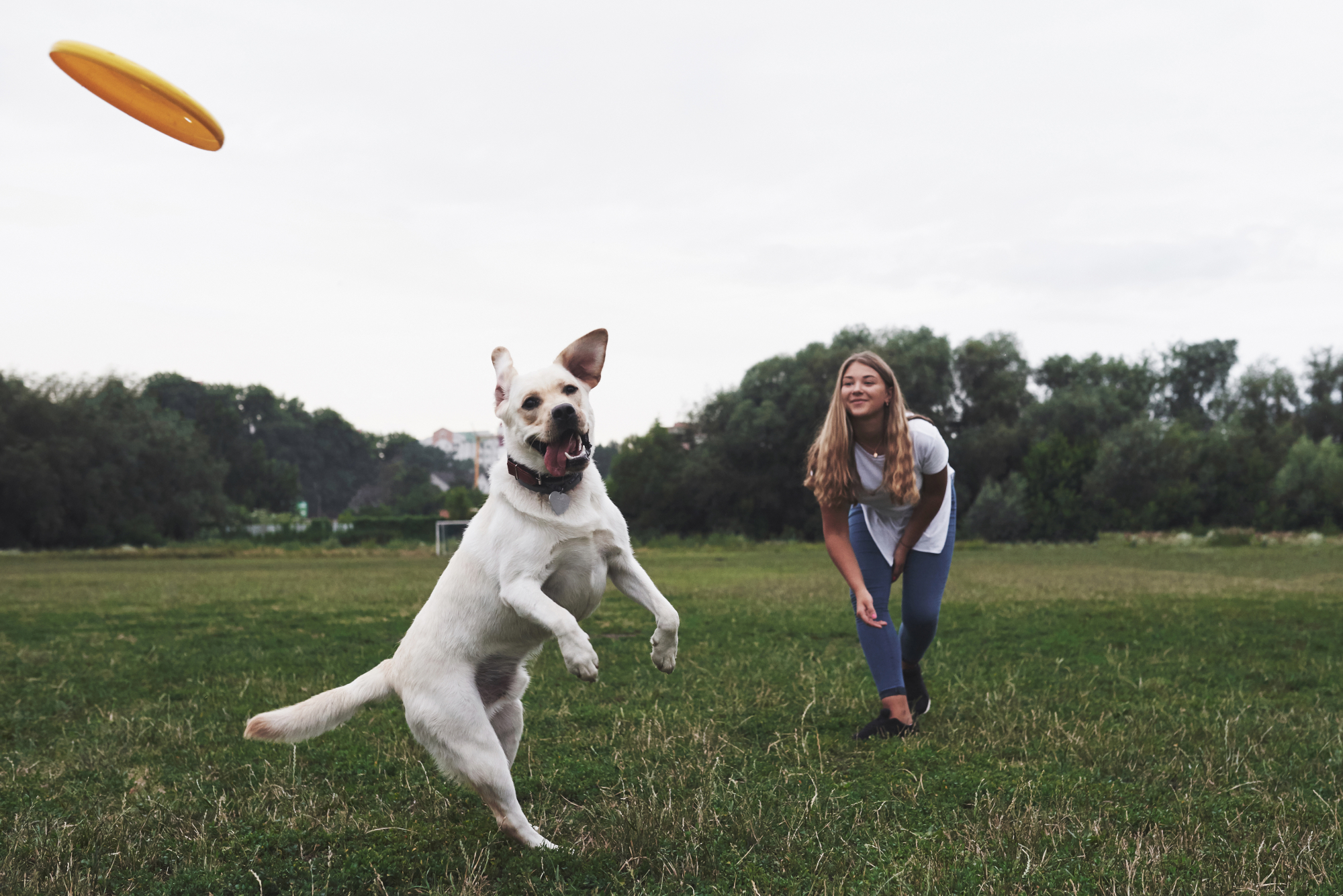More Mother's Day Ideas for Mom and Her Pet | Hastings Veterinary Hospital