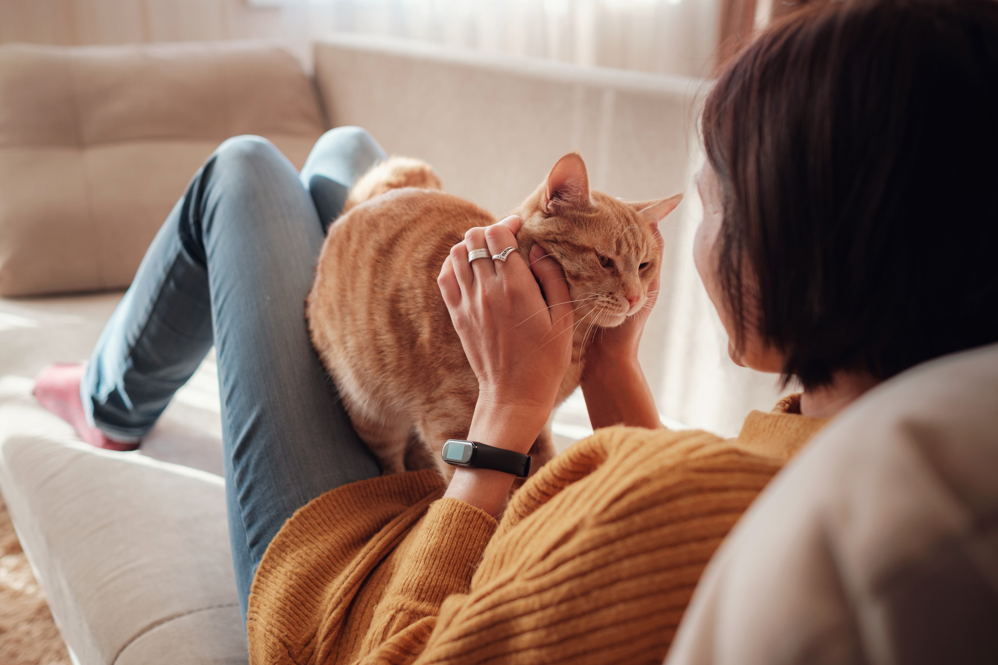 Environmental Enrichment for Indoor Cats | Hastings Veterinary Hospital